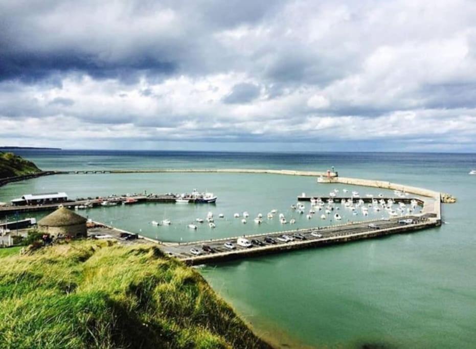 Le Refuge Marin Apartment Courseulles-sur-Mer Luaran gambar