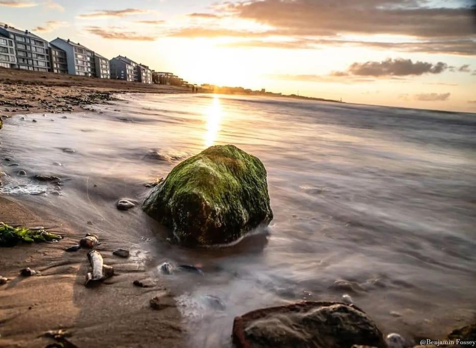 Le Refuge Marin Apartment Courseulles-sur-Mer Luaran gambar